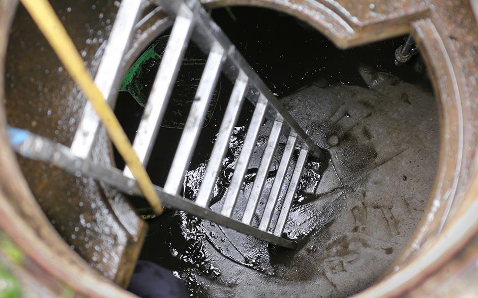 assainissement canalisation Orgerus